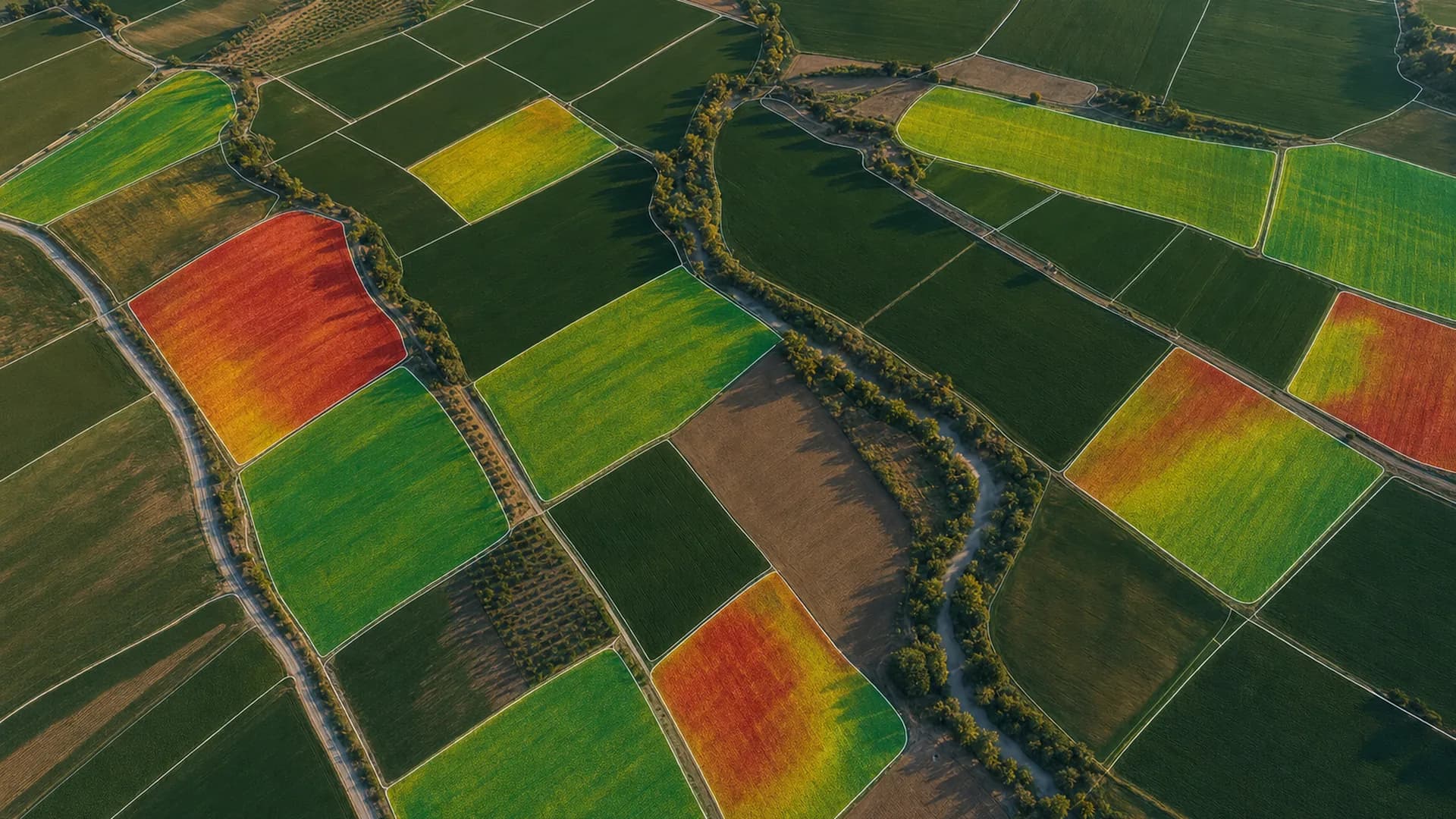 Uydudan görülen tarım parselleri ve NDVI bitki sağlığı ısı katmanı
